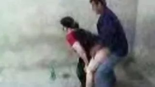 Քաղցած քաղցած կրծքավանդակի ճտերը պատրաստ են խմբային բուռն փոթորկի